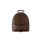 Louis Vuitton 루이비통 팜스프링스 백팩 MM M41561