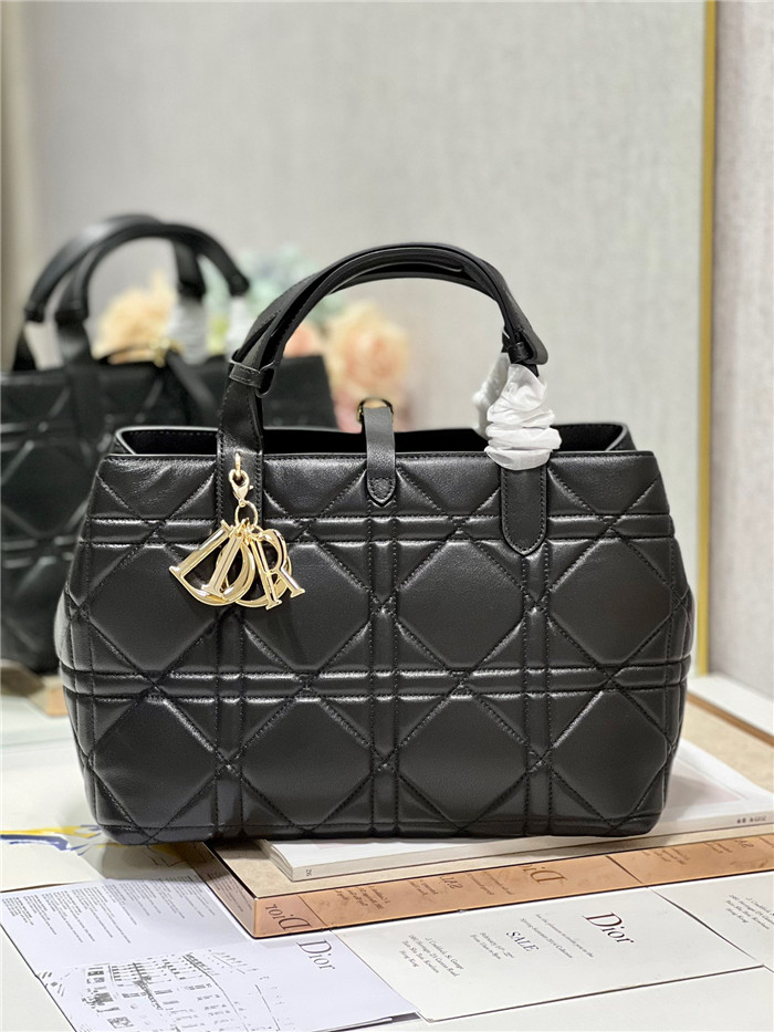 Dior  디올 토트백 D1188