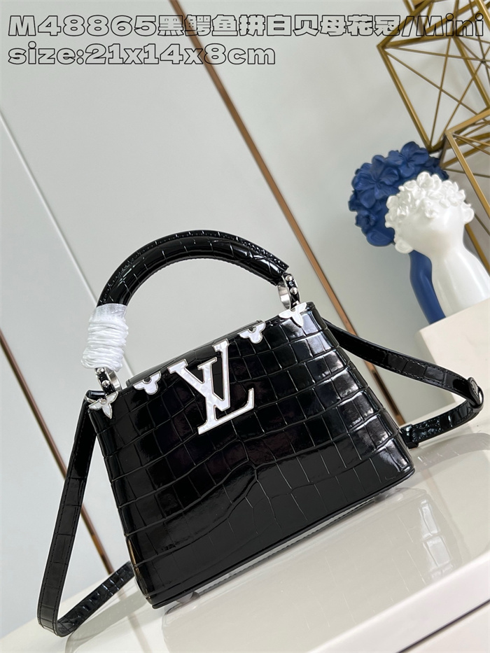 LOUIS VUITTON 루이비통 카푸신 미니 M48865 2024/신상