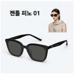GENTLE MONSTER 젠틀몬스터 피노 01 선글라스